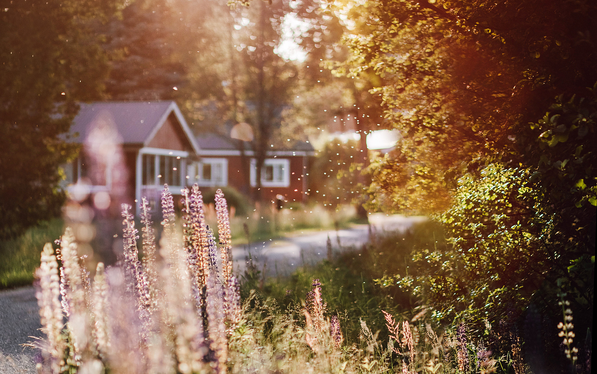 Roadtrip Allein Durch Schweden Fotoalina